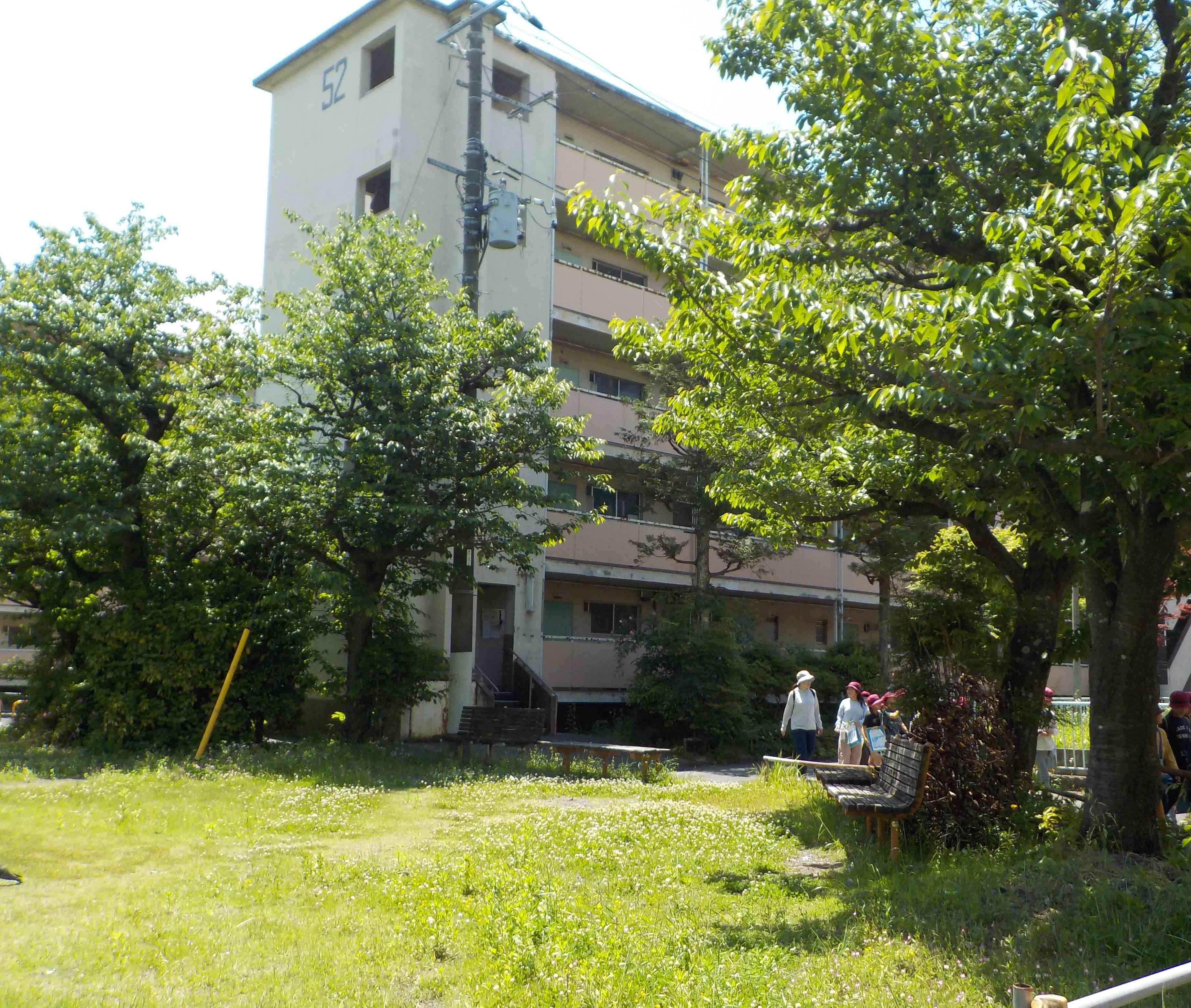 DSCN9675[1]辰巳団地内