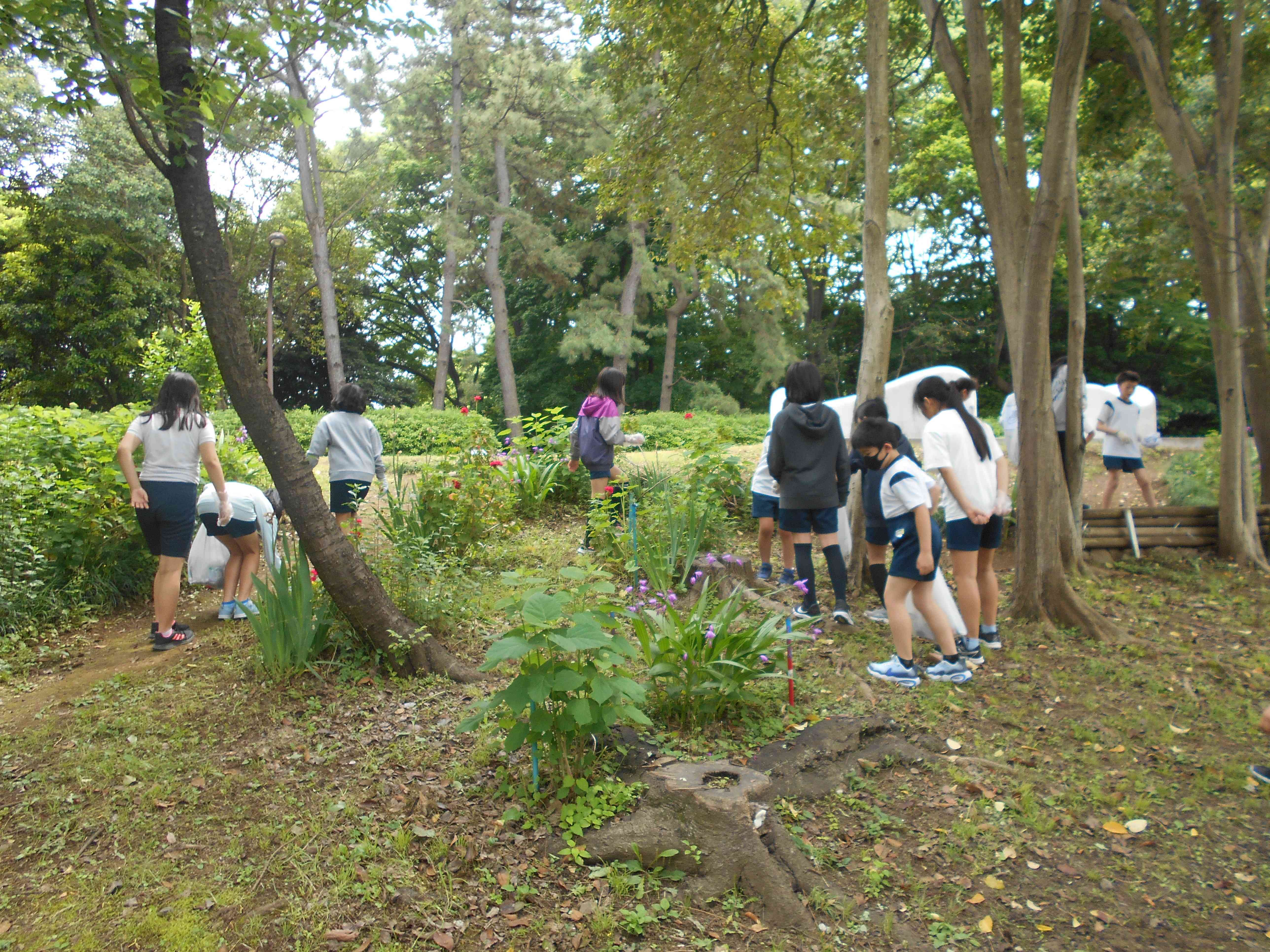 DSCN8992[1]p
