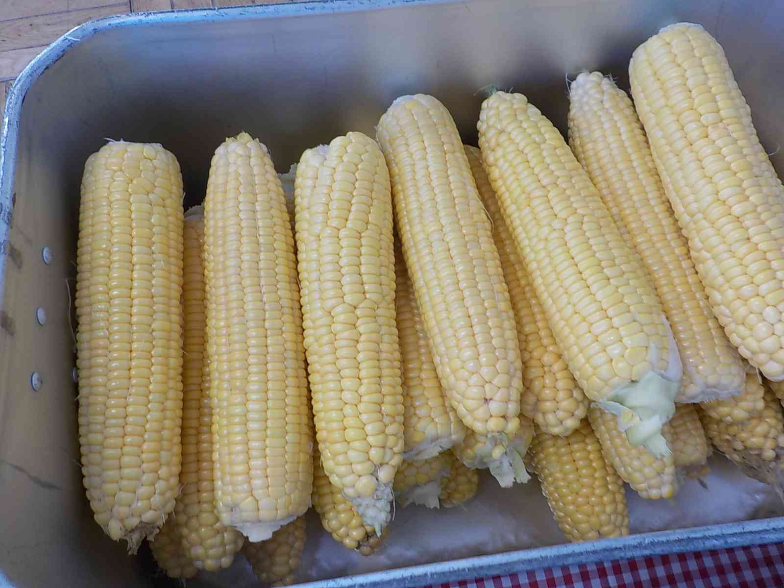 DSCN1243