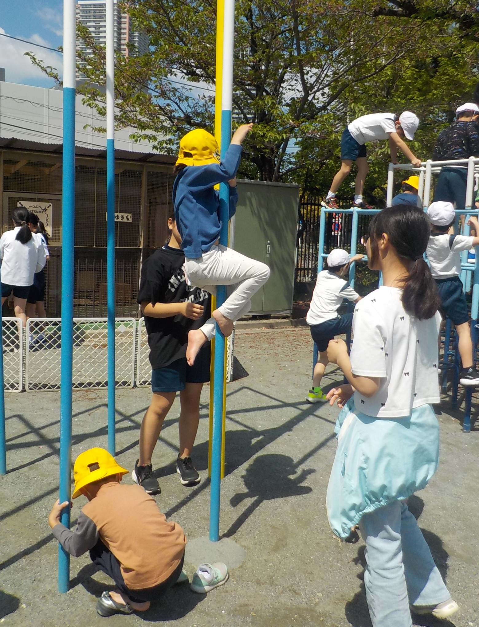 DSCN2634